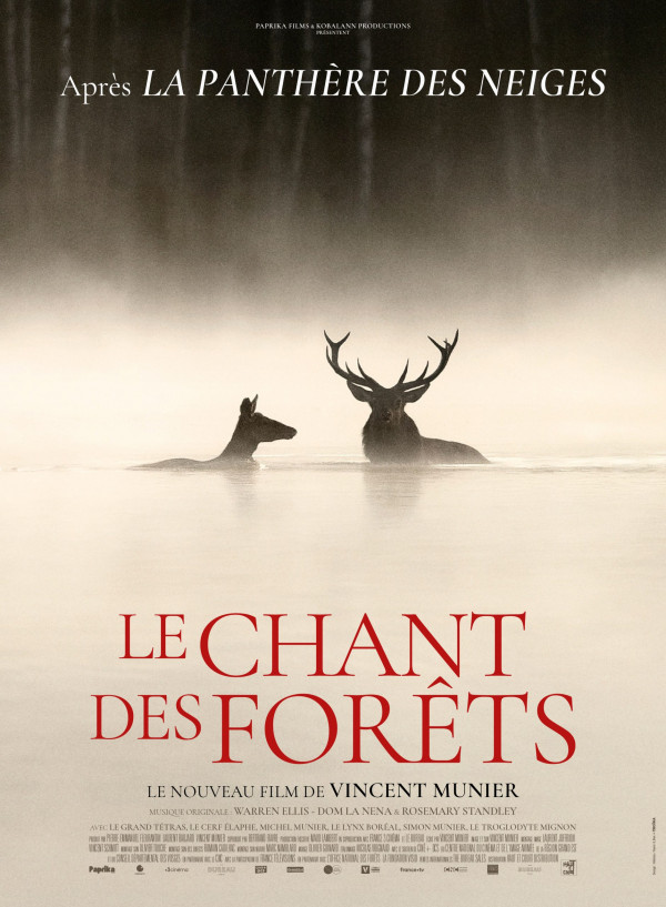 CINÉ-DÉBAT - Le Chant des forêts