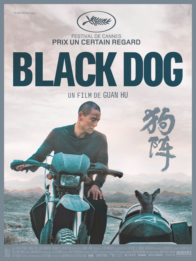 Affiche Black Dog