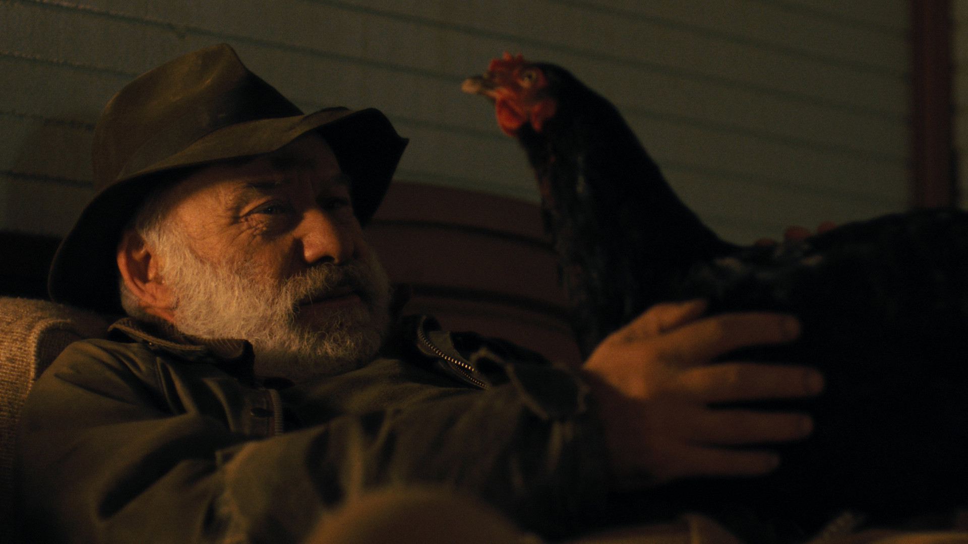 Photo du film Cocotte