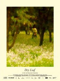 Affiche du film Dry Leaf
