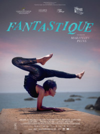 Affiche du film Fantastique