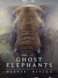Affiche du film Ghost Elephants