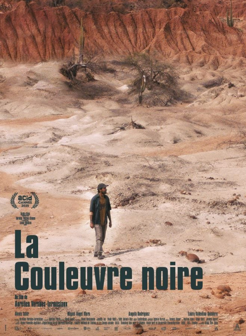 Affiche La Couleuvre noire