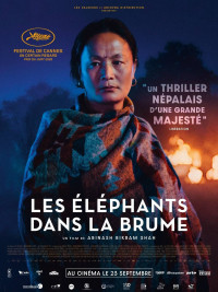 Affiche du film LES ELEPHANTS DANS LA BRUME