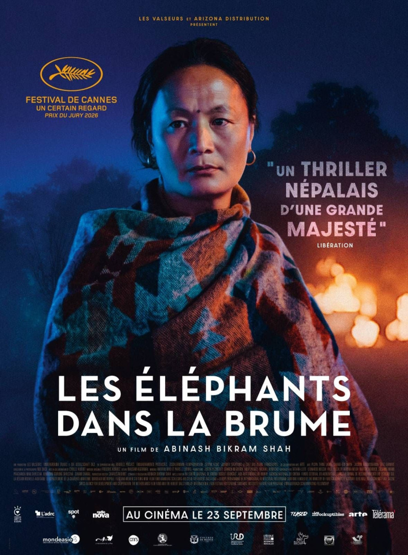 Affiche LES ELEPHANTS DANS LA BRUME