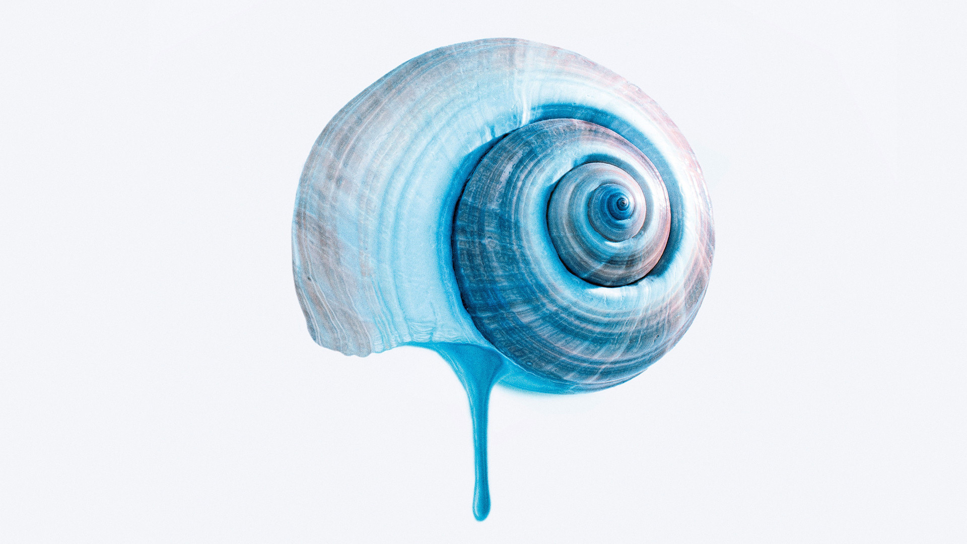 Photo du film Les Voyages de Tereza