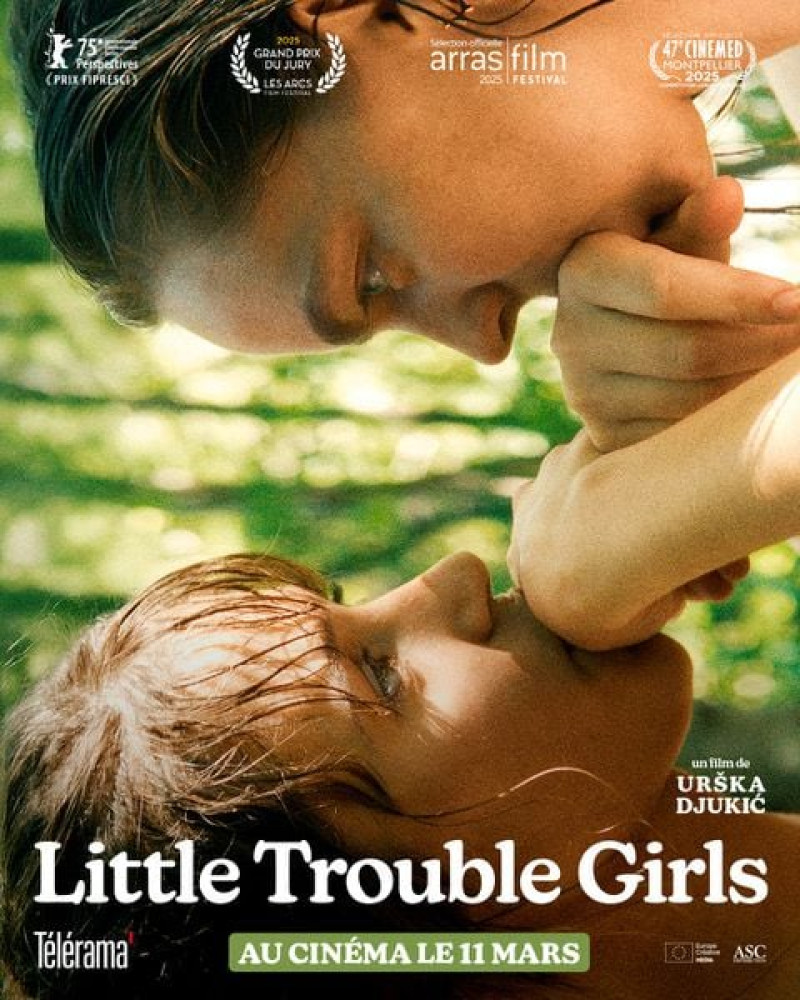 Affiche du film Little Trouble Girls