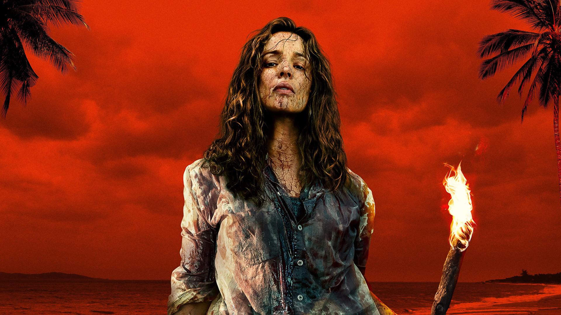 Photo du film Send Help