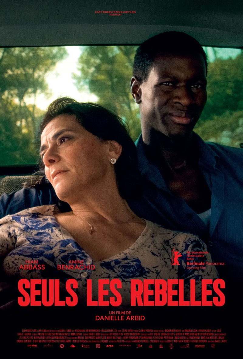 Affiche Seuls les rebelles
