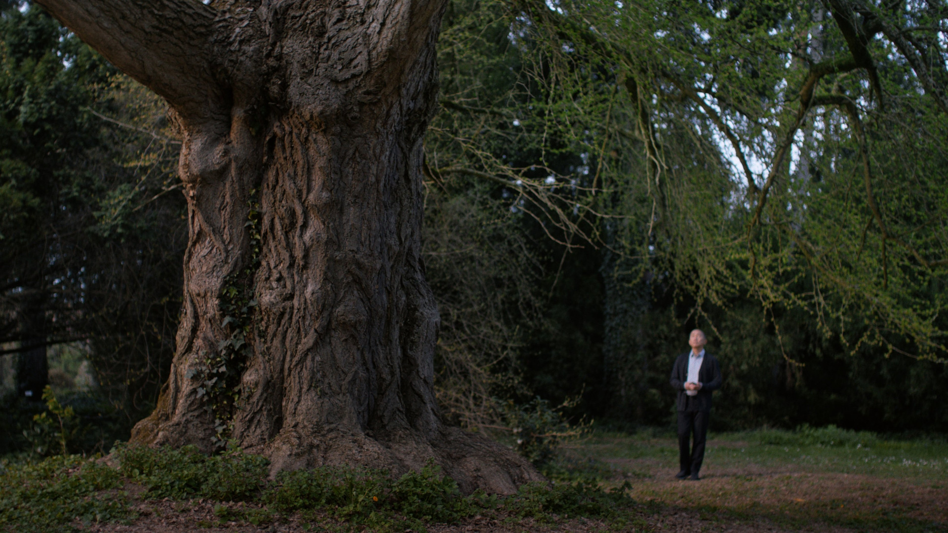 Photo du film Silent Friend