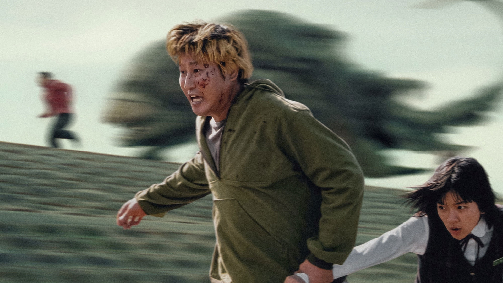 Photo du film The Host